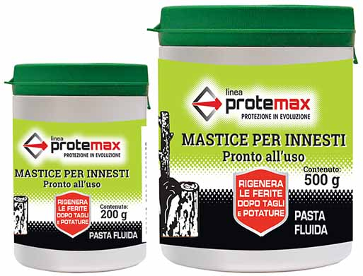 PM600 MASTICE PER INNESTI 200g